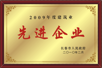 2010年先進(jìn)企業(yè)